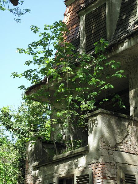 Lahmann (202).JPG